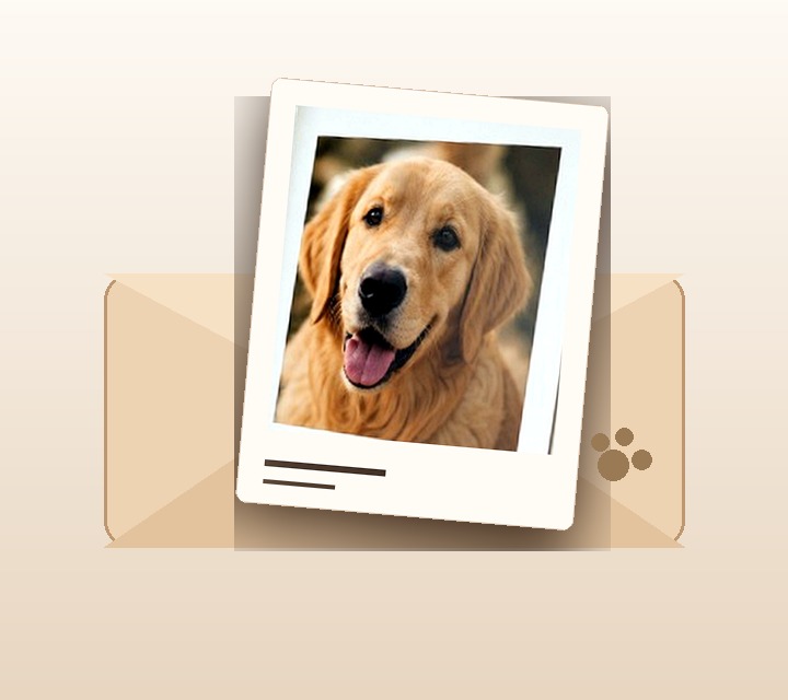 A dog photo print arriving in an envelope.