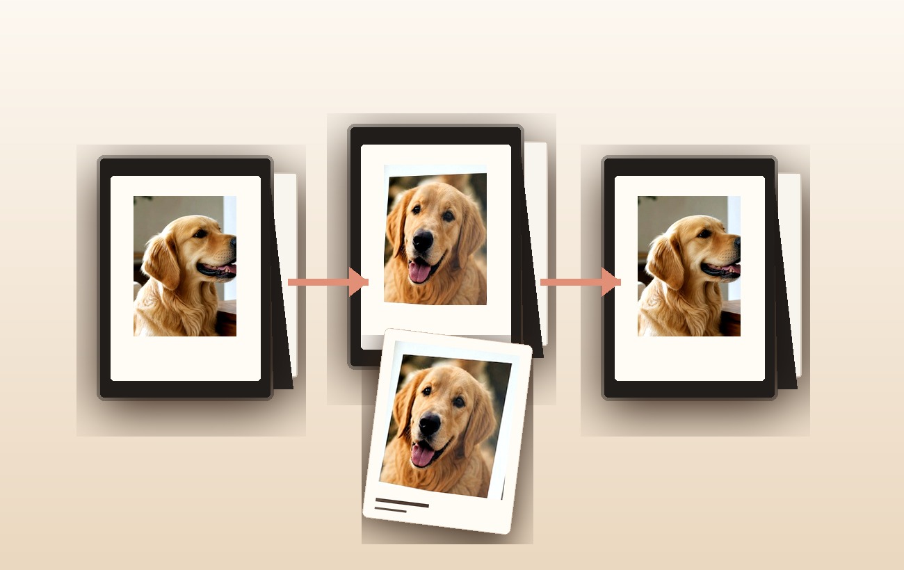 A monthly sequence showing a dog photo being changed in the frame.