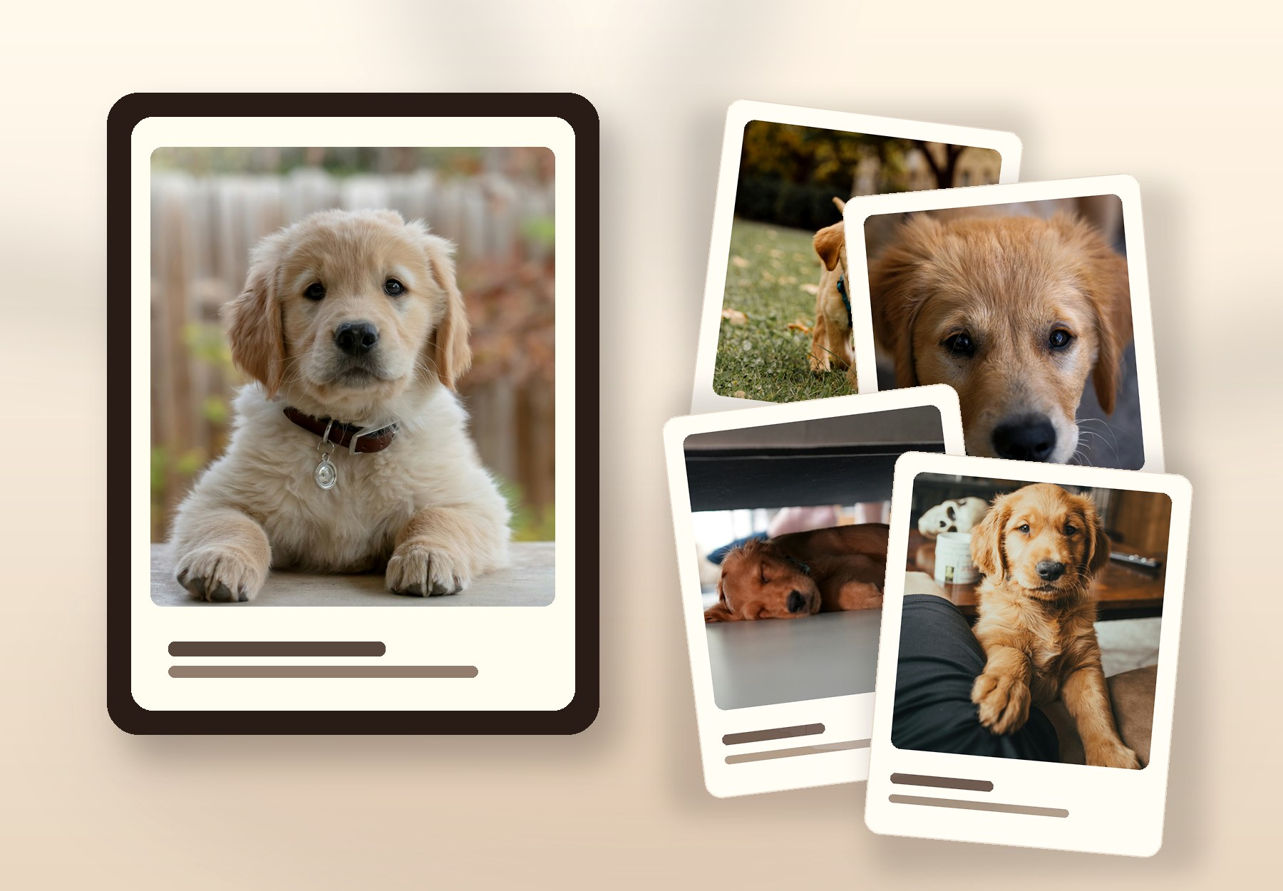 A PawYear-style frame with a puppy photo and a stack of puppy prints.